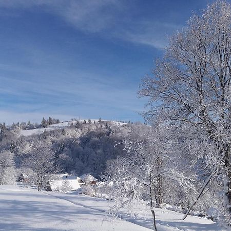 Верховинський Котедж Bukovets Exteriér fotografie