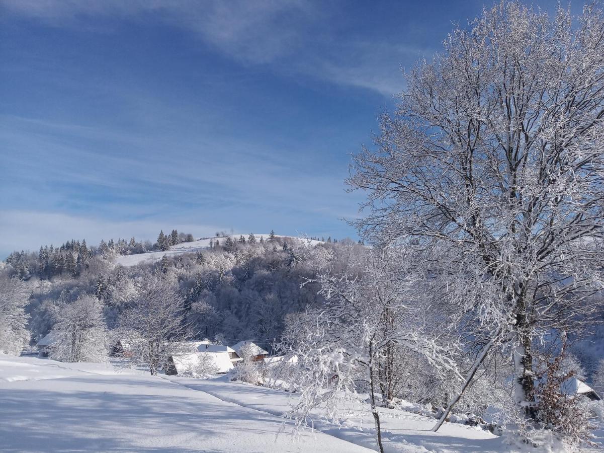 Верховинський Котедж Bukovets Exteriér fotografie
