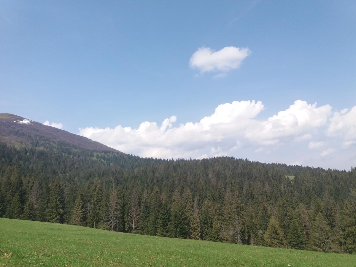 Верховинський Котедж Bukovets Exteriér fotografie