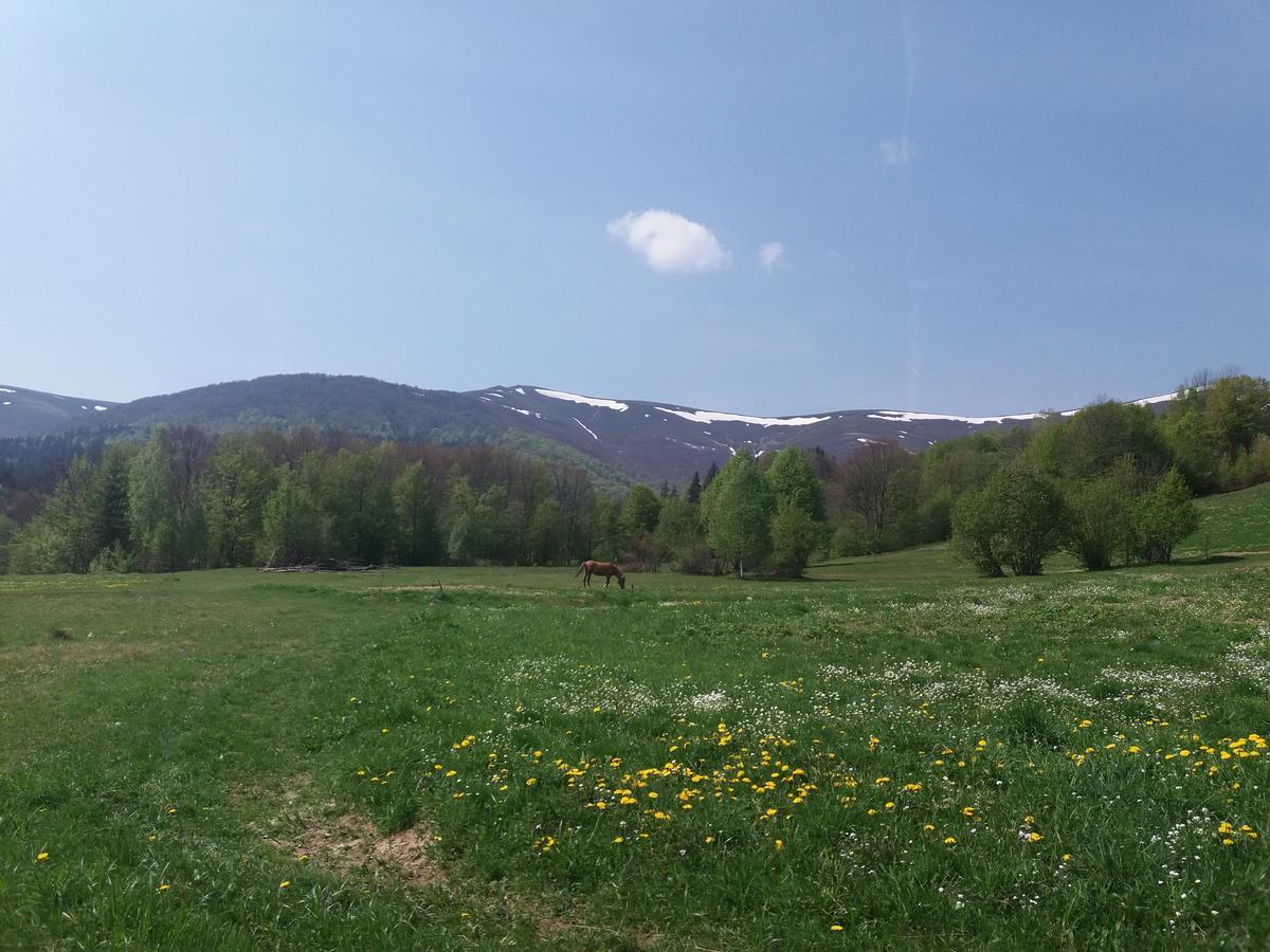 Верховинський Котедж Bukovets Exteriér fotografie