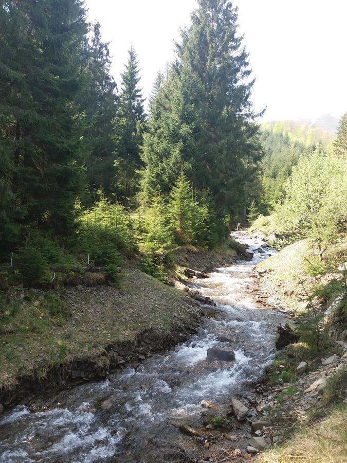 Верховинський Котедж Bukovets Exteriér fotografie